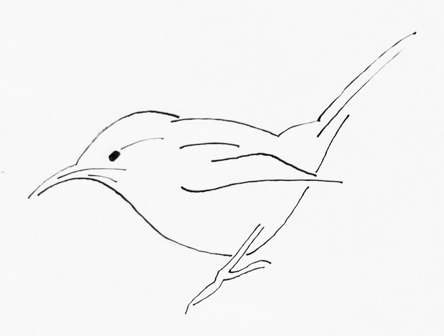 Bird-Wren