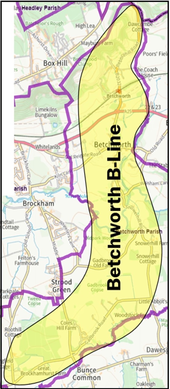 b -line map