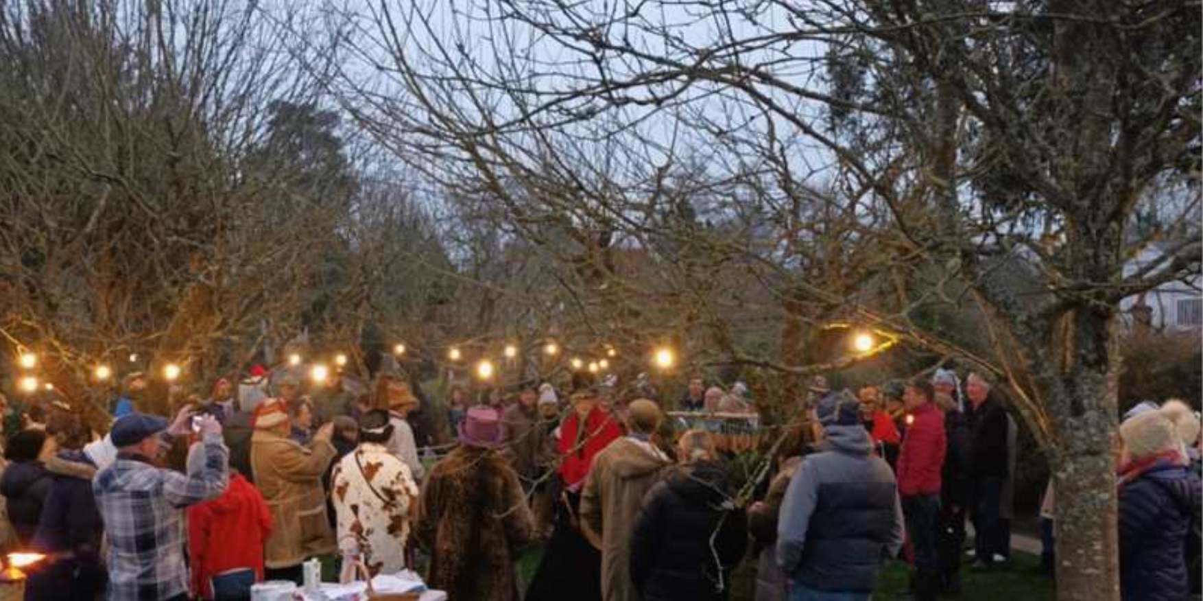 BETCHWORTH WASSAIL 2026*Get the 2026 Wassail in your calendars now! Join us for some mildly bonkers fun at the village Wassail on Saturday 17 January to ‘bless’ the apple trees in the village orchard next to Golbourn Green. Last year’s Wassail must have worked as 2025 saw a bumper crop of apples in the village! 
