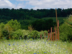 Barn-meadow