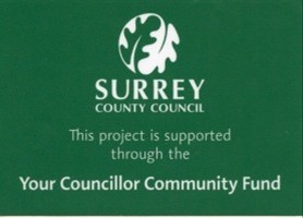 SCC plaque