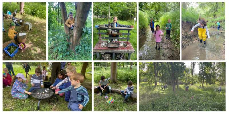 Forest Camp - August booking
