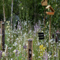 4Bs Gardening for Biodiversity Talks - free event with refreshments