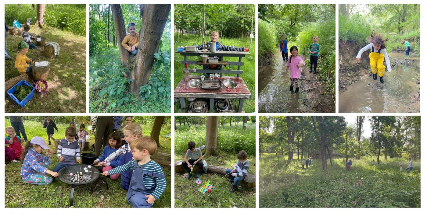 Forest Camp calling all pre-schoolers...
