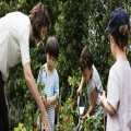 National Children’s Gardening Week