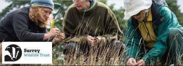 Wildlife surveying for beginners