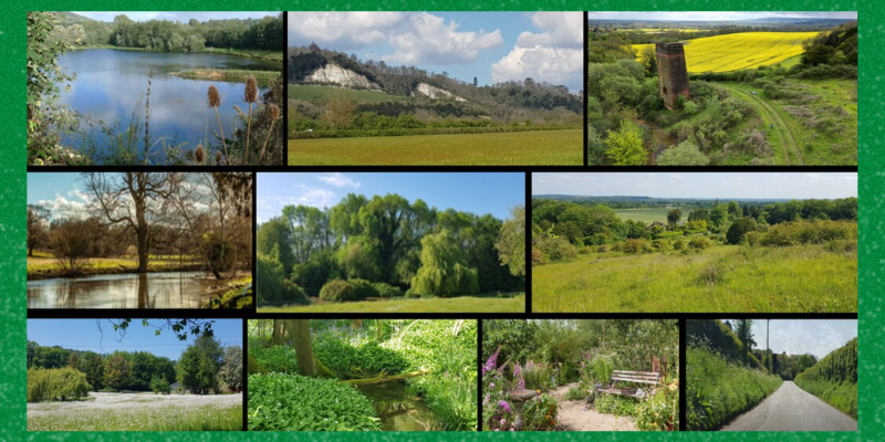 4Bs Nature Magazine out now...