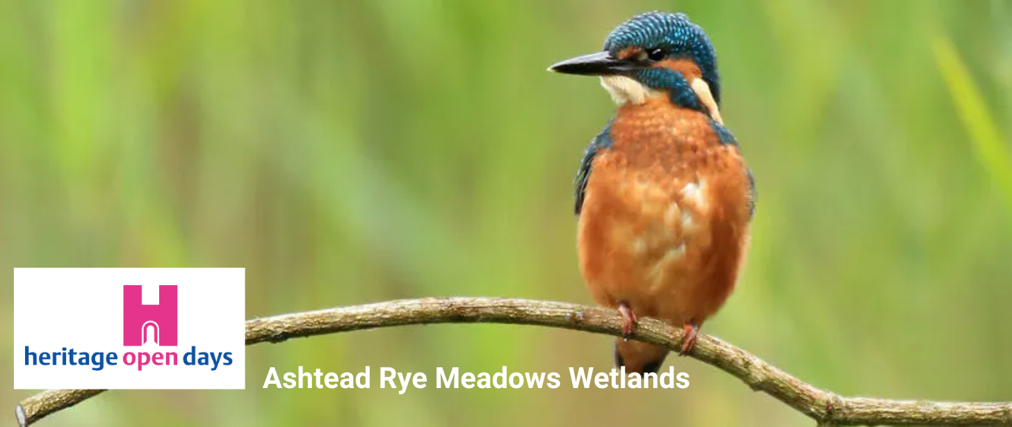 Heritage Open Day - Ashtead Rye Meadows Wetlands